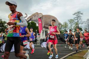 BIB: 
                            <button type="button" onclick="openModal(26528294)" class="btn btn-primary btn-sm float-right btn-popup" data-toggle="modal" data-target=".modal-high-quality">
                        <i class="fas fa-shopping-cart"></i> Add to Cart
                    </button>
                                            <button type="button" onclick="isThisMe(26528294, true)" class="btn btn-success btn-sm float-right btn-popup btn-isme hidden" data-toggle="tooltip" data-placement="bottom" title="นี่คือรูปของคุณใช่ไหม คลิกที่นี่เพื่อเอาเข้าอัลบั้ม">
                        <i class="fas fa-plus"></i> Add to album
                    </button>
                    <button type="button" onclick="isThisMe(26528294, false)" class="btn btn-warning btn-sm float-right btn-popup btn-isnotme hidden">
                        <i class="fas fa-ban"></i> Remove from album
                    </button>